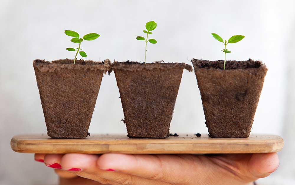 how-to-invest-post-office-2